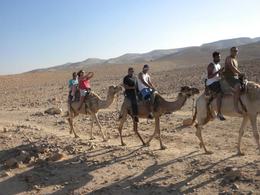 Agadir Camel Ride Flamingo River & BBQ Dinner - A balanced take on the reviews
