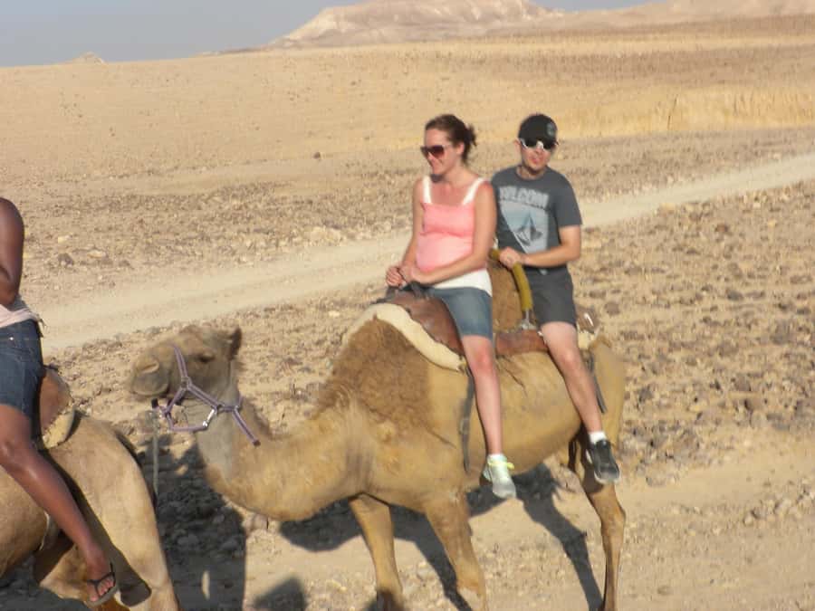 Agadir Camel Ride Flamingo River & BBQ Dinner - Two hours on camel: dunes, eucalyptus, and bird area