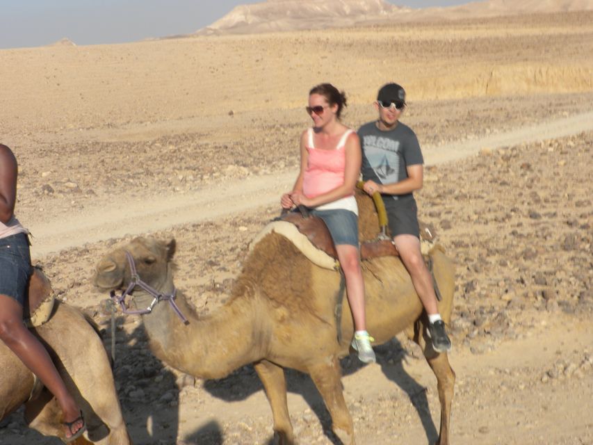 Agadir Camel Ride Flamingo River & BBQ Dinner - Tips to make the ride more comfortable