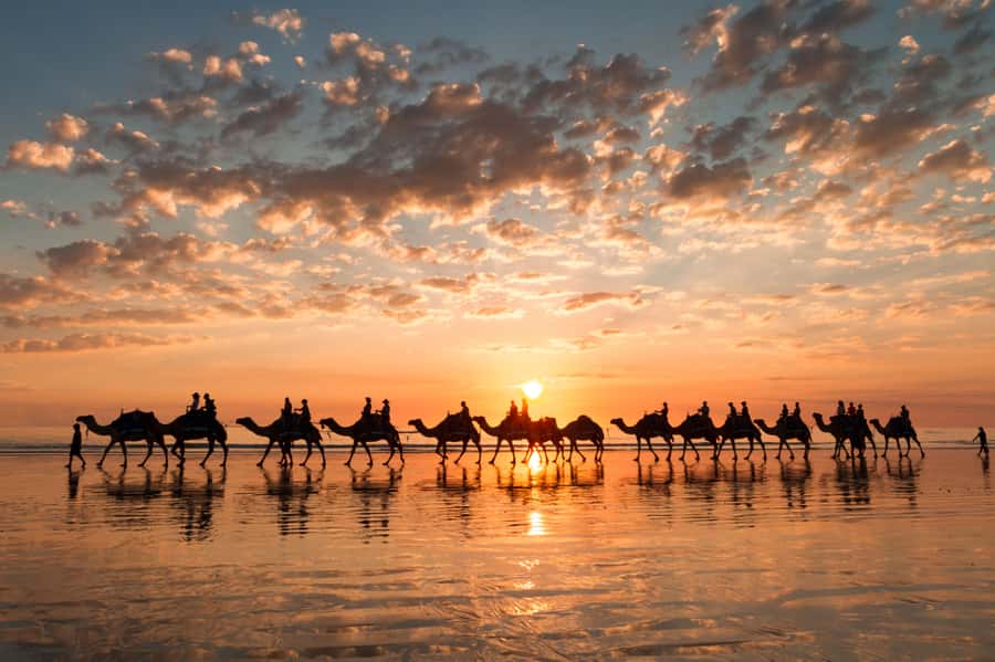 Agadir: Camel Ride With Tea - Key Highlights Worth Planning For