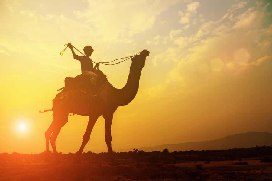 Agadir: Camel Ride With Tea - Getting Out of Agadir: The Hotel Pickup and Ranch Drive
