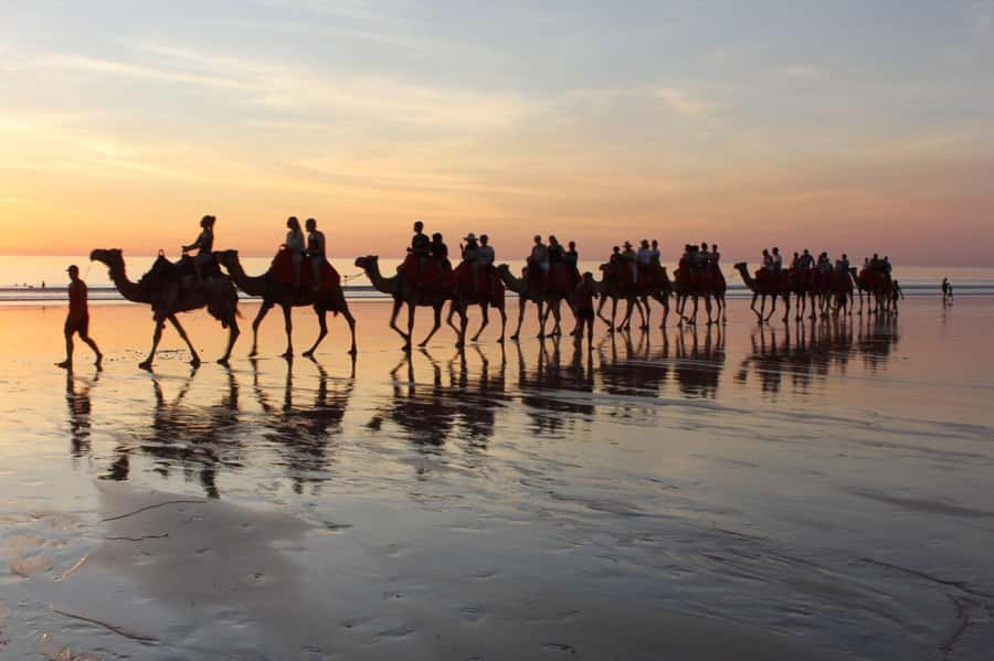 Agadir: Camel Ride With Tea - Riding the Souss River and Eucalyptus Trees for Real Views