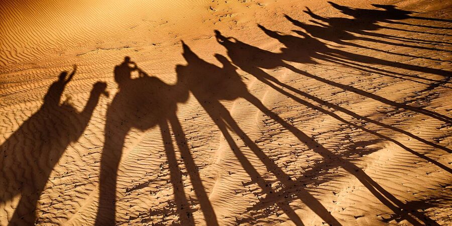 Agadir: Camel Ride With Tea - Should You Book This Camel Ride in Agadir?