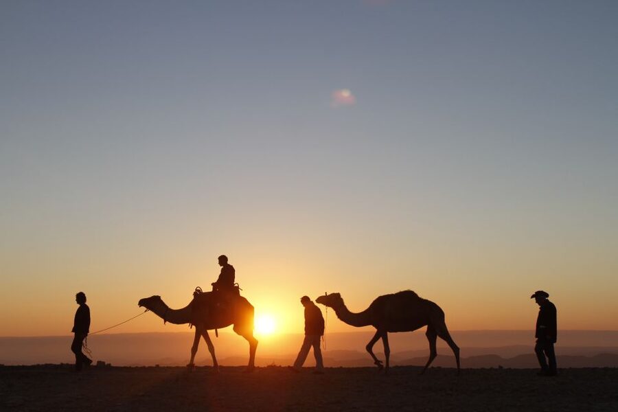Agadir: Camel Ride With Tea & BBQ Dinner Option - Should You Book This Agadir Camel Ride With Tea and BBQ?