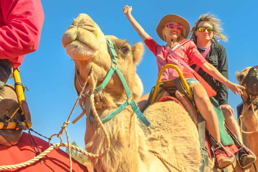 Agadir: Camel Ride With Tea & BBQ Dinner Option - A Camel Ride Just Outside Agadir, With Real Time to Enjoy It