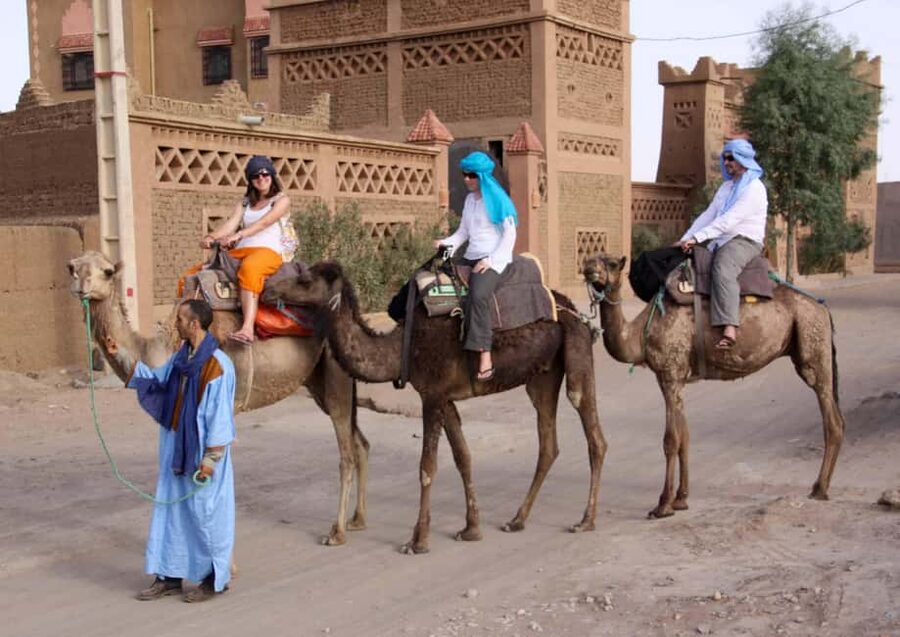 Agadir: Camel Ride With Tea & BBQ Dinner Option - The Camel Ride Itself: Pace, Photos, and River-Stop Details