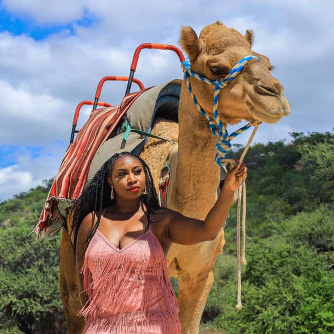 Agadir: Camel Ride With Tea & BBQ Dinner Option - BBQ Dinner Option: Salad, Chicken, and a Moroccan-Style Meal
