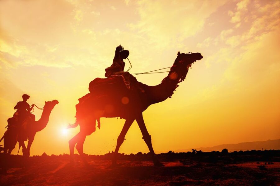 Agadir: Camel Ride With Tea & BBQ Dinner Option - Price and Value: Why Around $23 Feels Fair
