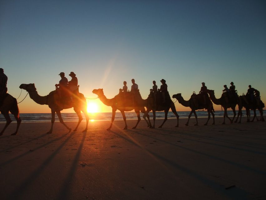 Agadir: Camel Ride With Tea & BBQ Dinner Option - Small Practical Tips That Make the Biggest Difference