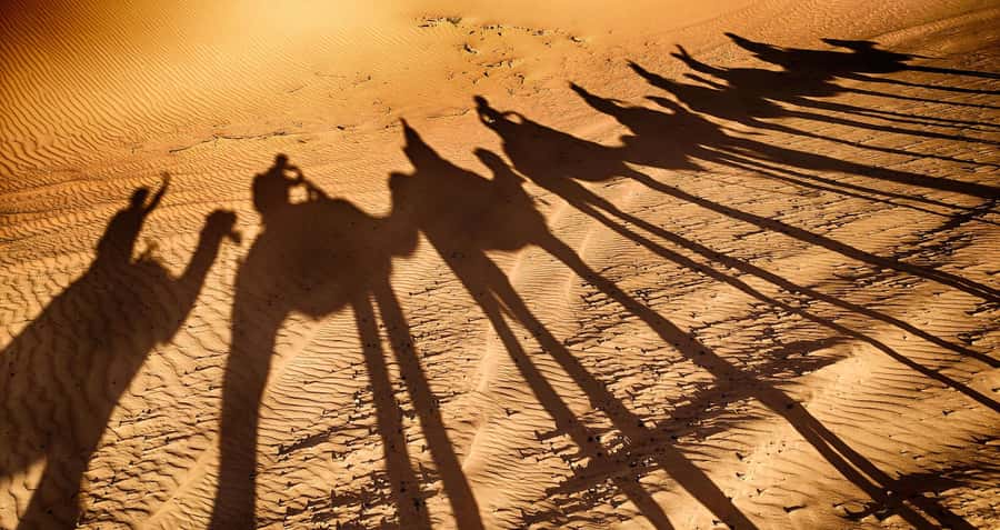 Agadir: Camel Ride With Tea - Choosing Your Camel and Meeting the Guide