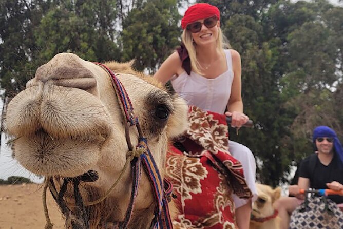 Agadir Camel Rides with Tea Drink & cakes - Quick Take: What You’ll Remember