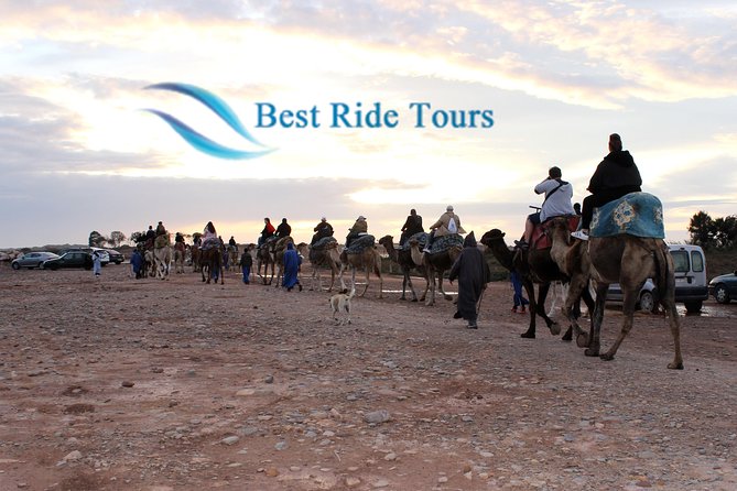 Agadir Camel Riding - Key things I’d pencil into your plan
