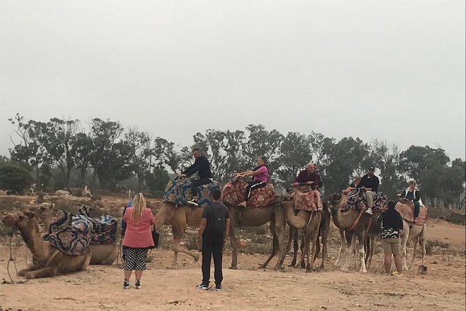 Agadir Camel Riding - The people factor: guides who calm nerves and make it fun