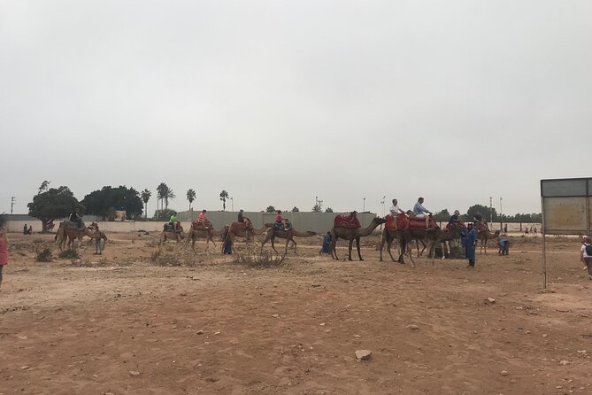 Agadir Camel Riding - Practical tips that make the ride more comfortable