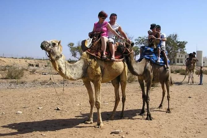 Agadir Camel Riding +Sunset and Dinner( barbecue) - The Barbecue Dinner in a Tent: Good Food, Different Expectations