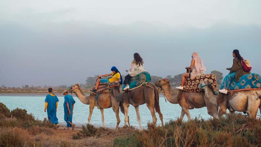 Agadir: Camel Riding Tour with Tea Drink - First, You Get Moving: Hotel Pickup in Agadir
