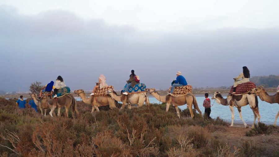 Agadir: Camel Riding Tour with Tea Drink - Dunes vs Flamingo River: The One Expectation to Confirm