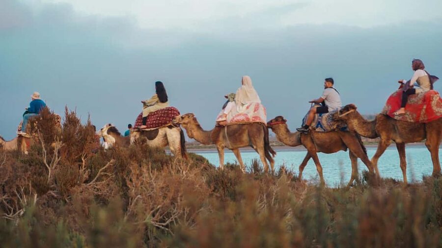 Agadir: Camel Riding Tour with Tea Drink - Mint Tea at the End, a Small Ritual That Lands
