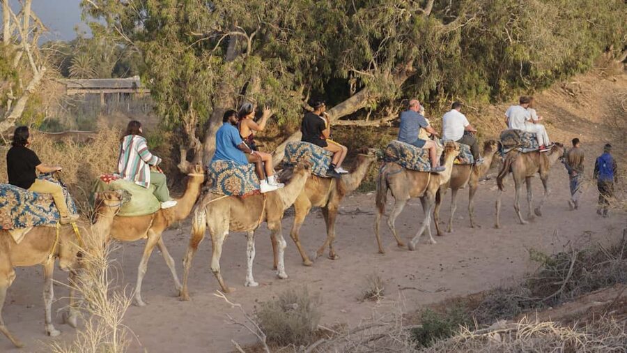Agadir: Camel Riding Tour with Tea Drink - Optional Dinner: When to Add It and When to Skip