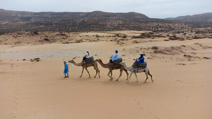 Agadir: Camel Riding Tour with Tea Drink - Price and Value: Why About $22 Can Make Sense