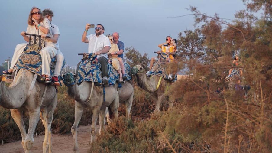 Agadir: Camel Riding Tour with Tea Drink - Meeting Your Camel Guide and Getting Set Up