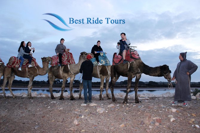 Agadir Camel Riding - Camel vs horse: what changes, what stays the same