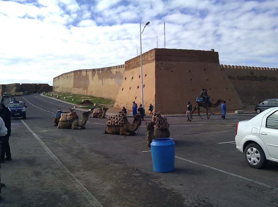 Agadir: City Discovery Tour - Should You Book This Agadir City Discovery Tour?