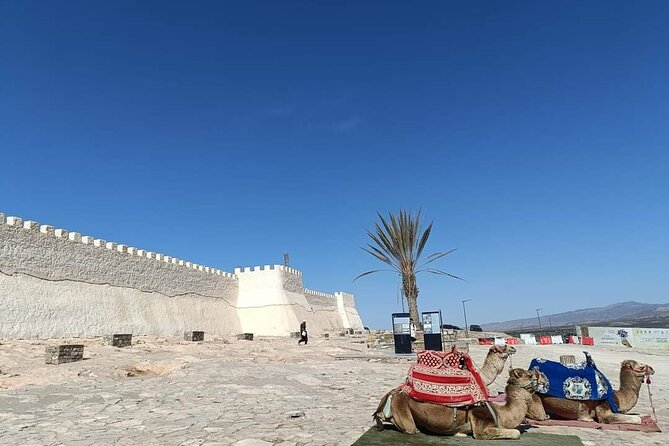 Agadir City Tour whit medina polizzi and Cable car Ride - Key things to know before you go