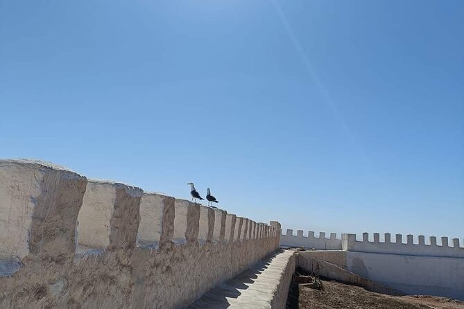 Agadir City Tour whit medina polizzi and Cable car Ride - Agadir’s main mosque and the big landmark pass-by