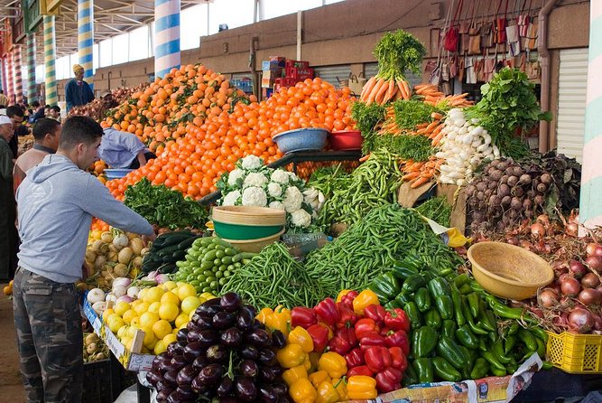 Agadir City Tours & Sightseeing with Souk elhad Market - The A/C vehicle, WiFi, and what “guided” feels like