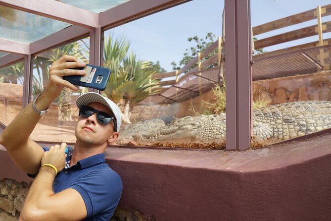 Agadir Crocodile Park Adventure - Timing: about 3 hours total and daily hours to plan around