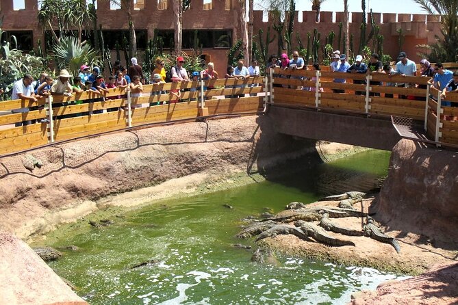 Agadir Crocodile Park Adventure - Price and value: what $40.71 really covers