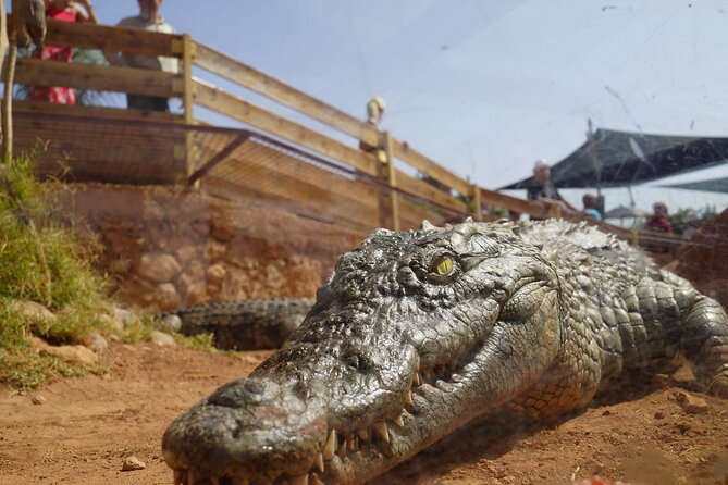 Agadir Crocodile Park Adventure - Ticket and pickup reality check: how to avoid start-up headaches