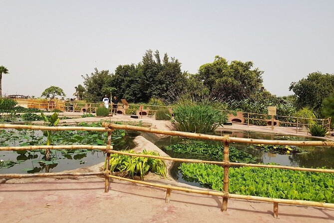 Agadir Crocodile Park Adventure - Comfort tips for a 3-hour animal visit in Agadir heat