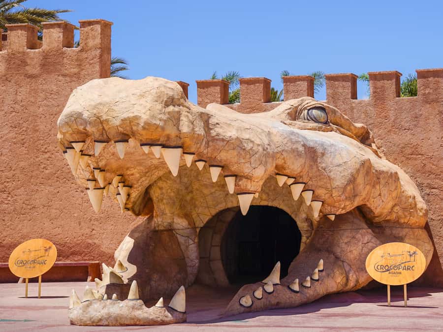 Agadir: Crocoparc Entry Ticket with Transfers, Guide, & Tea - The guided tour: crocodiles plus the rest of the reptile world