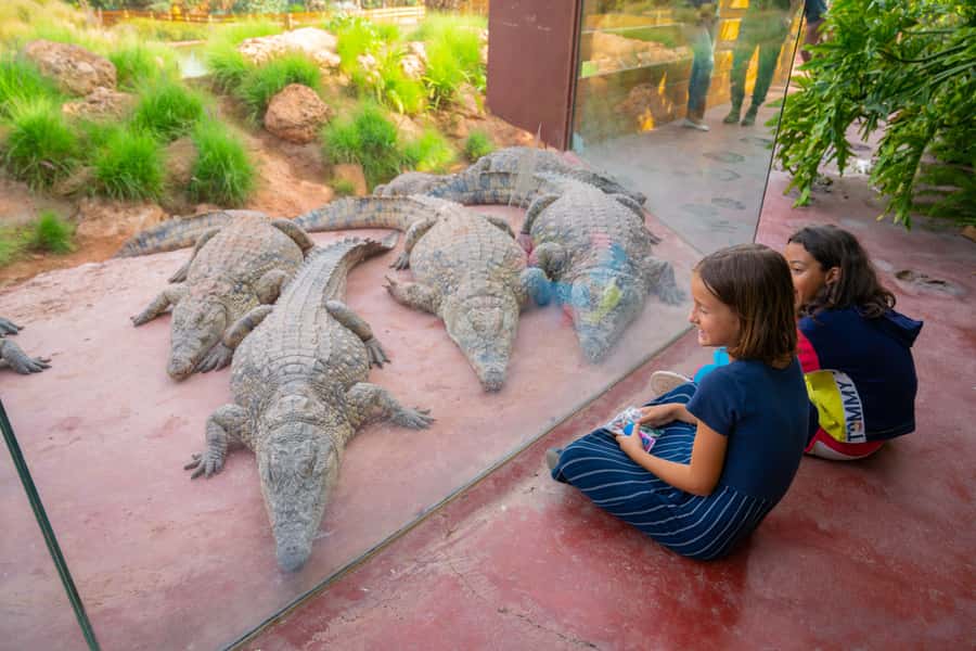 Agadir: Crocoparc Skip-the-Line Entry Ticket - The 5 garden zones: a calmer rhythm between reptile stops
