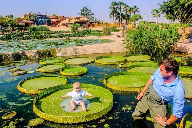 Agadir Crocoparc Transfer & Admission tickets - Admission is included, so your time stays focused on the animals
