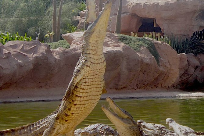 Agadir Crocoparc With Transfer & Admission ticket - Inside Croco world: crocodiles, anacondas, and botanical gardens