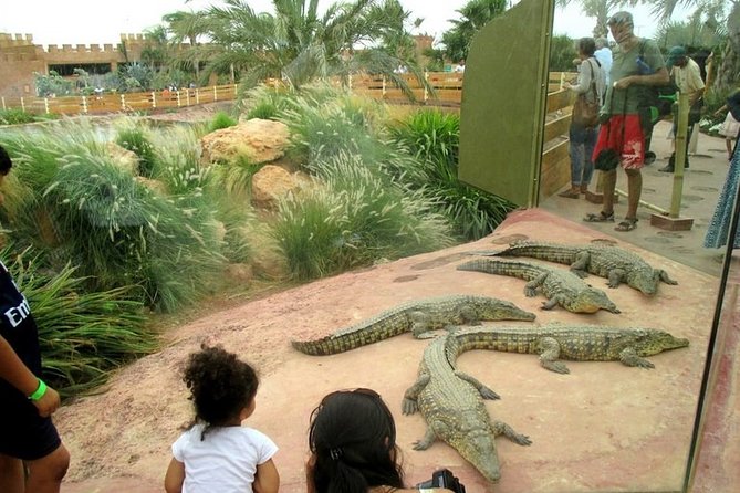 Agadir Crocoparc With Transfer & Admission ticket - Timing that actually works: how 3 hours plays out