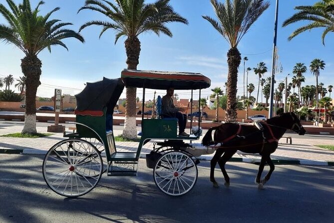 Agadir Day Trip to Taroudant and Tiout Oasis with Lunch - The Pickup Ride: Wi-Fi Helps, But Timing Can Feel Tricky