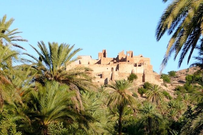 Agadir Day Trip to Taroudant and Tiout Oasis with Lunch - Taroudant and Tiout Together: Why This Pairing Works