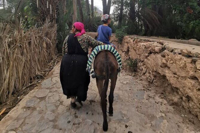 Agadir Day Trip to Taroudant and Tiout Oasis with Lunch - What to Do If You Like Souks, and What to Do If You Don’t
