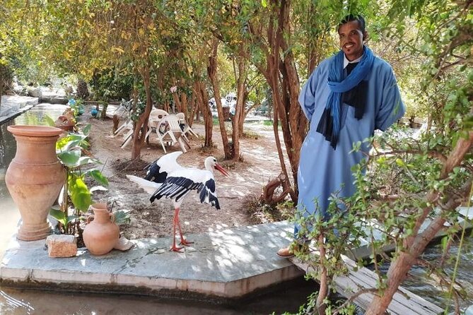 Agadir Day Trip to Taroudant and Tiout Oasis with Lunch - Who This Tour Fits Best