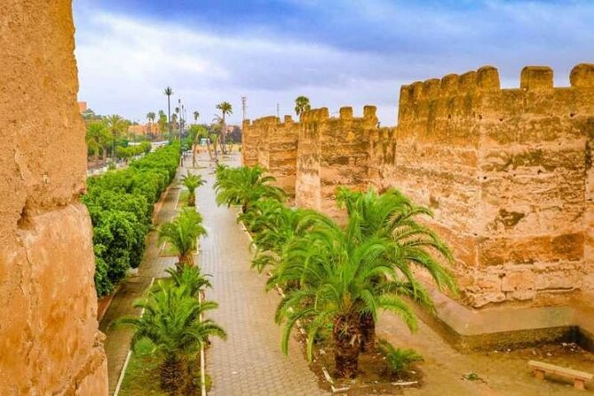 Agadir Day Trip to Taroudant and Tiout Oasis with Lunch - Tiout Oasis: A Berber Village Walk Plus Lunch