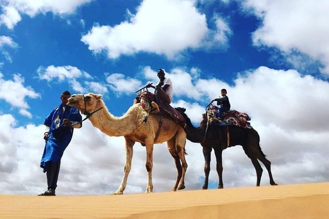 Agadir Desert Trip + berber villages - Massa River Stop: Bird Park Area and the Quick Moment That Matters