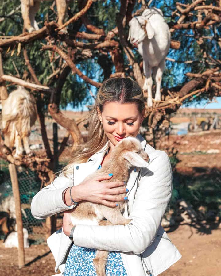 Agadir: Discover Argan Tree-Climbing Goats on a Morning Tour - Key things to know before you go