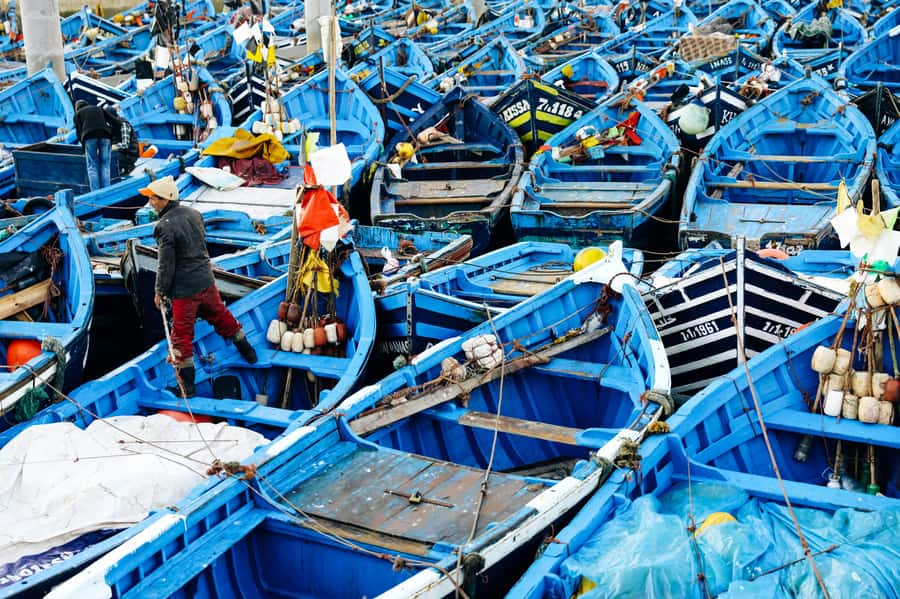 Agadir: Essaouira Guided Day Trip - Key highlights to look forward to