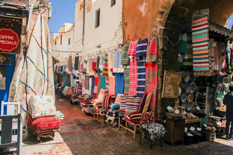 Agadir: Essaouira Guided Day Trip - What to pack, what not to bring, and simple comfort moves