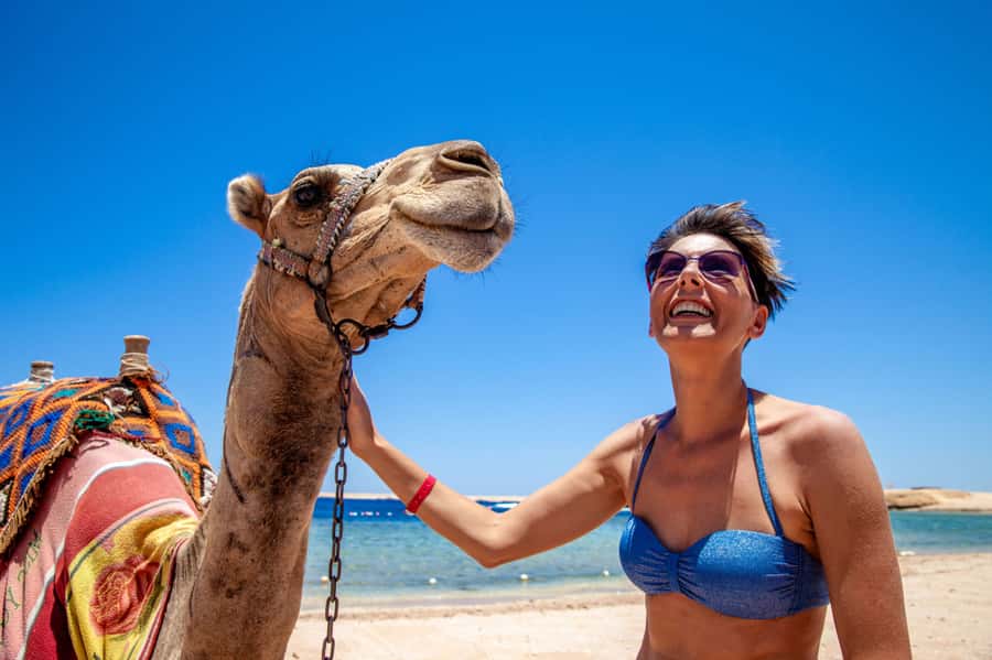 Agadir: Flamingo River Camel Ride with Optional BBQ Dinner - Who This Agadir Camel Ride Suits Best