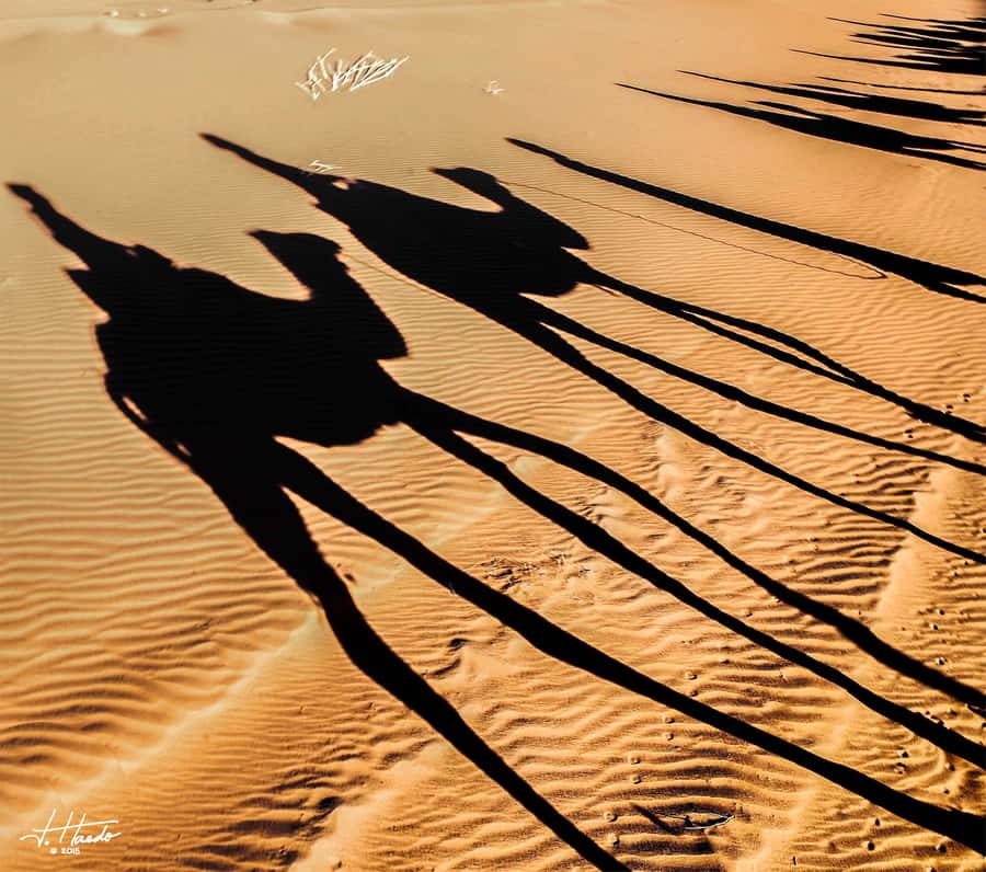 Agadir: Flamingo River Camel Ride with Optional BBQ Dinner - Aghroud Bensergao Villages: Local Lanes, Not Just Scenery
